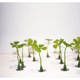 Glücksmagnete "Plant me"