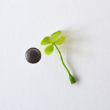 Glücksmagnete "Plant me"